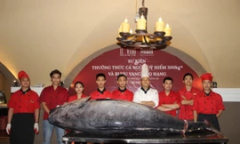 Độc đáo sự kiện thưởng thức cá ngừ đại dương khổng lồ 300kg tại My Way