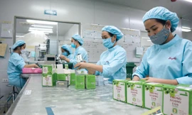 Nam Dược – Chiến lược kinh doanh giúp nhiều năm liền tăng trưởng hơn hai con số