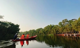 Thường thức thú vị cho Tết này