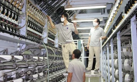 VNPOLY cung cấp sợi cho ADIDAS và TARGET