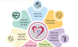 Một số quan niệm sai về bổ sung Kali và Magnesi