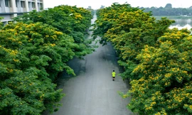 Ngồi nơi cửa nhà, nghĩ về hạnh phúc