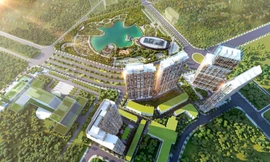 Giải mã lý do dân start-up chuộng căn hộ Dual Key