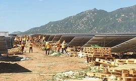 Đừng để qui hoạch trong bóng tối phát sinh