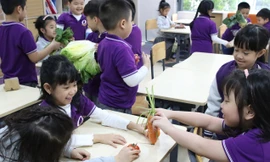 Khi học sinh trở thành chủ thể: Góc nhìn chuyên gia về hành trình sống khỏe trong trường học