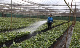 Hỗ trợ nước khoáng đóng chai cho các hộ vùng hạn mặn ở ĐBSCL