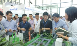 Việc có cơ chế hấp dẫn với giá điện năng lượng tái tạo sẽ thúc đẩy thị trường năng lượng mặt trời Việt Nam phát triển