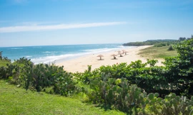 Những vùng biển xanh, cát trắng, nắng ấm và an toàn giữa mùa dịch là điều thu hút du khách đến với Phú Yên