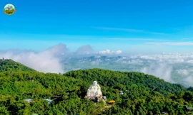 Lâm Viên Núi Cấm ghi nhận tăng trưởng dịp tết 2025