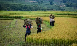 Tình yêu nghề và hành trình mang bảo hiểm chạm đến cuộc sống vùng cao