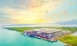 Thilogi phát triển dịch vụ logistics xuất khẩu nông sản với sản lượng lớn