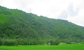 Thanh Hóa sắp có thêm Khu dịch vụ du lịch và nhà ở 452 ha tại Hoằng Hóa