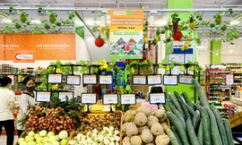 BRGMart hỗ trợ tiêu thụ nông sản Bắc Giang