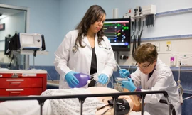 Hội thảo Du học và hành nghề Bác sĩ tại Mỹ cùng Đại học Y khoa St. George 