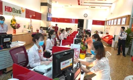 HDBank tài trợ gần 3 tỷ đồng chống xâm lấn hạn mặn ở ĐBSCL