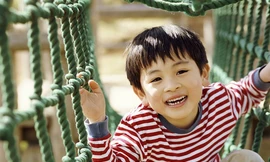 Lợi ích độc đáo giúp 'hạt vàng' đậu nành lên ngôi 