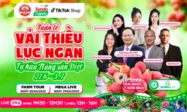 Vải thiều đã chín đỏ trên siêu thị online Sendo Farm và phiên live đặc biệt với Phó chủ tịch Bắc Giang