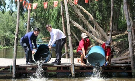 Hơn 20 tấn cá đồng các loại đã được nhà đầu tư thả về rừng tràm Trà Sư