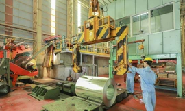 Tôn Phương Nam: Phần thưởng cho 25 năm không ngừng nỗ lực