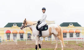 Sắp diễn ra giải cưỡi ngựa chuyên nghiệp đầu tiên tại Việt Nam – Vinpearl Equestrian Cup 2025