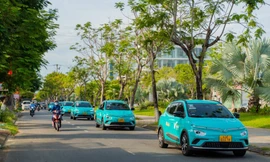 GSM triển khai chương trình 'mùa hè xanh vì tương lai xanh'