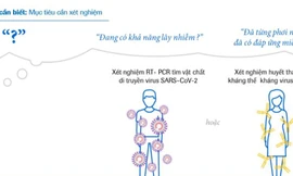 Roche và giải pháp tổng thể trong xét nghiệm COVID-19