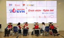 EVN triển khai chương trình hiến máu tình nguyện – Tuần lễ hồng EVN lần thứ 10