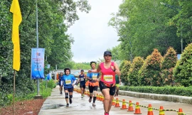 Đất Mũi đang phát triển thành một địa điểm du lịch thu hút du khách gần xa