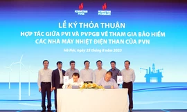 Bảo hiểm PVI khẳng định vị thế trên bản đồ bảo hiểm điện than Việt Nam