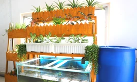 Giải pháp xây dựng môi trường làm việc trong lành cho nhân viên