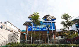 Khai trương Sun Life Flagship với chuỗi triển lãm nghệ thuật 'ĐỦ'