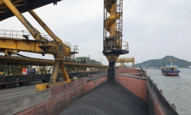 TKV chú trọng công tác phòng chống mưa bão