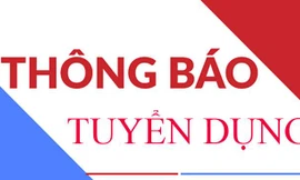 Tổng công ty cổ phần Thương mại Xây dựng (WTO) tuyển dụng Kỹ sư kinh tế xây dựng