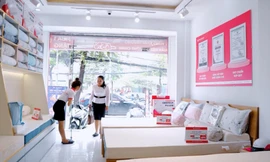 Cạnh tranh trên thị trường nệm, 5 lý do Nệm Thuần Việt ngày càng được nhiều khách hàng lựa chọn