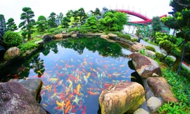 Doanh nghiệp du lịch biến 'nguy' thành 'cơ' vì COVID-19 như thế nào?