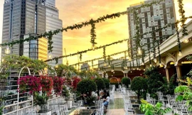 Rex Hotel Saigon giới thiệu chương trình Combo 'Happy Hour' đặc biệt tại Rooftop Garden Bar