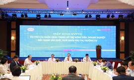 Tiếp sức nông dân, doanh nghiệp đưa nông sản Việt vào thị trường EU