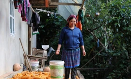 Tăng cường vị thế và tiếng nói của phụ nữ: Chuyện kể từ những đồng vốn không lãi suất