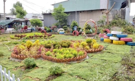 Mô hình vườn hoa thanh niên – biến bãi rác thành vườn hoa