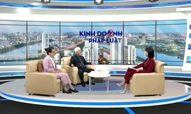 Ủy thác thủ tục hải quan trong các hợp đồng Logistics: Lưu ý nào cho các bên?