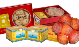 Yến sào Khánh Hòa – món quà thiên nhiên bổ dưỡng