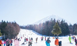 Ngắm tuyết rơi, chơi trượt tuyết tại Hàn Quốc, Nhật Bản