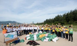 700 nhân viên Heineken Việt Nam từ 7 tỉnh thành “chung tay sẻ chia” vì môi trường và cộng đồng 