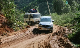 Tết sắc màu cùng hành trình lan tỏa yêu thương của VUS