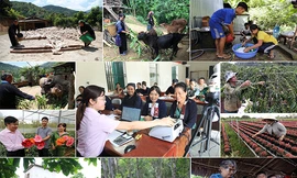 Tín dụng chính sách: Giúp phụ nữ Việt tích luỹ nhu cầu tài chính 