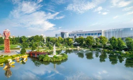 Xe buýt xanh vì cộng đồng và môi trường