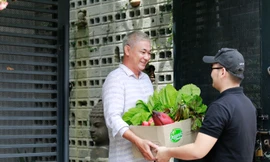 Chuỗi cửa hàng thực phẩm hữu cơ Organicfood.vn là một trong những thương hiệu lớn, được nhiều người tin tưởng lựa chọn