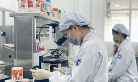 Vinamilk tích lũy gì từ hơn 20 năm ‘chinh chiến’ ở nước ngoài?