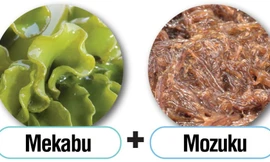 Vai trò của tảo nâu Mozuku trong lĩnh vực y khoa