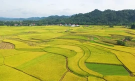 Tràng Định – vẻ đẹp nguyên sơ, trải nghiệm chân thực 